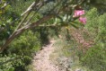 /album/queren%c3%a7a%20%26%20fonte%20benemola%20/activity-algarve-11-jpg2/